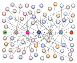 Six degrees of separation.